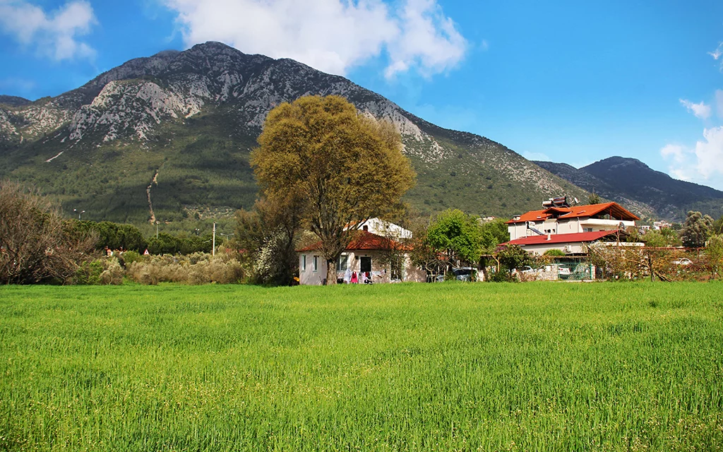 Dalaman => Üzümlü transfer